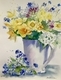 Spring Daffodils