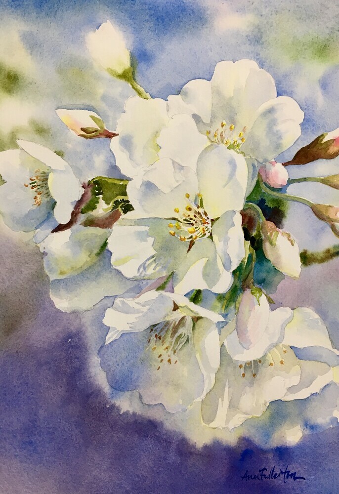 ANN FULLERTON WATERCOLOURS - FLOWERS - Blossom Time