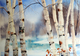 Birch Trees - SOLD