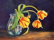 Parrot Tulips