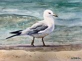 Beach Walker