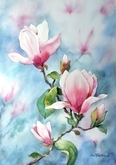 Magnolias