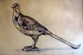 If only I was a real bird!