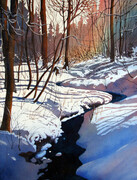 Winter's shadows - SOLD